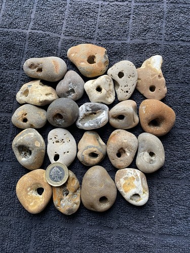 Twenty natural hag stones - twenty,
