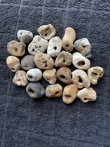 Twenty natural hag stones - twenty,