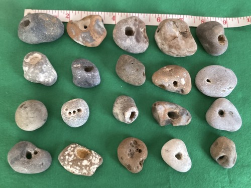 20x various size - size, &shape.