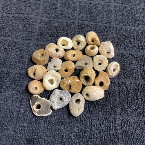 Twenty natural hag stones - natural,