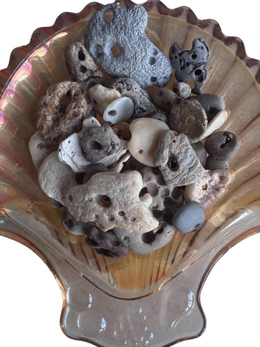 Natural hag stones genuine - natural, stones|