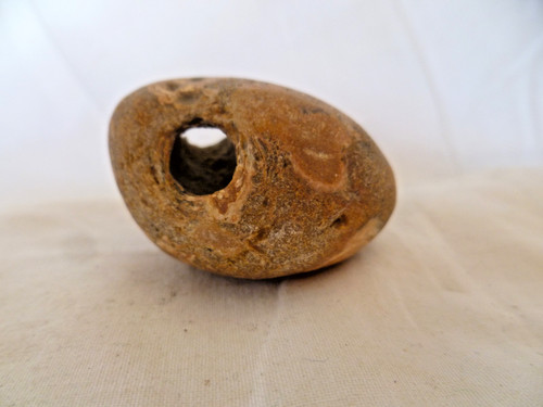 Natural witches hag holey - witches/hag/holey, palm