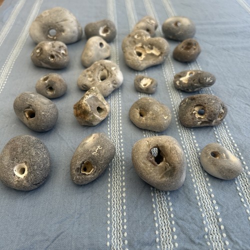 Hag stones lot lucky - lot,