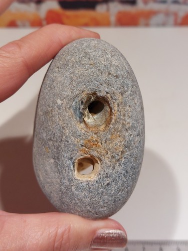 Natural hag stone - natural,