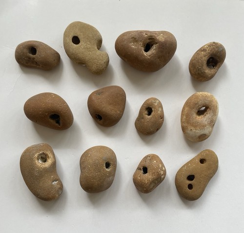 Natural brown hag stones - 12,