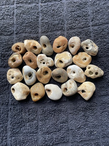 Twenty natural hag stones - natural,