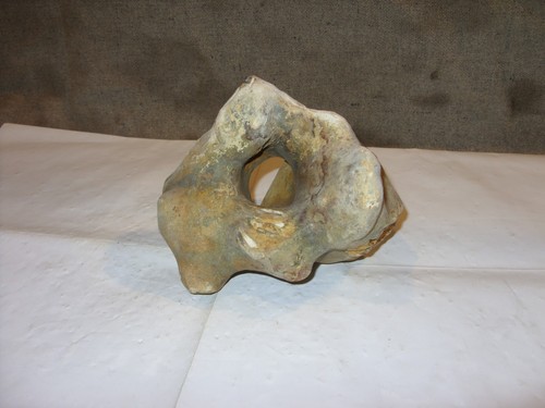 Flint hag stone - hag,