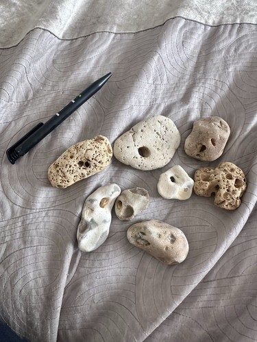 Hag stones - hag, x8