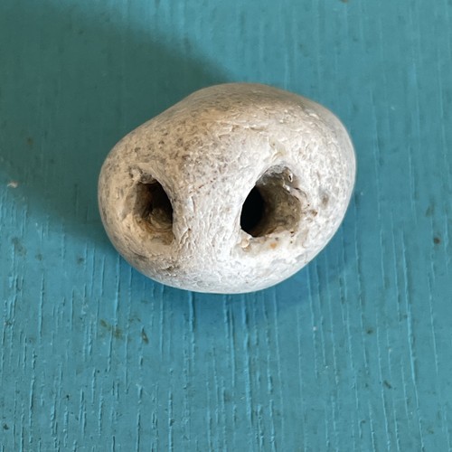 Hag stone - hag,