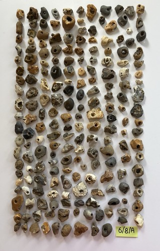 200 natural hag stones wica - 200,