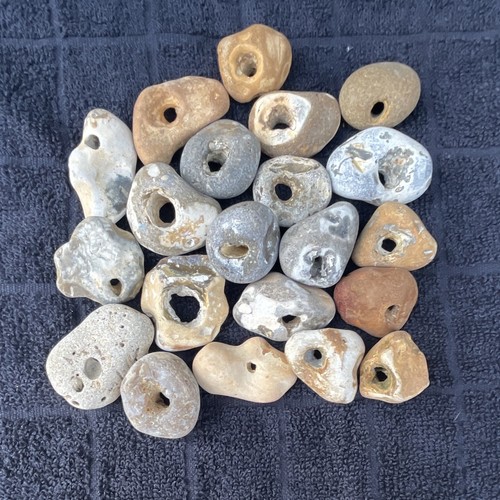 Twenty natural hag stones - hag,