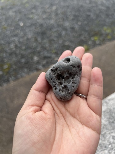 Grey hag stone with - stone, (48mm)