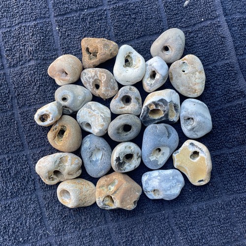 Twenty natural hag stones - natural,