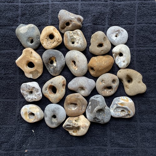 Twenty natural hag stones - twenty,