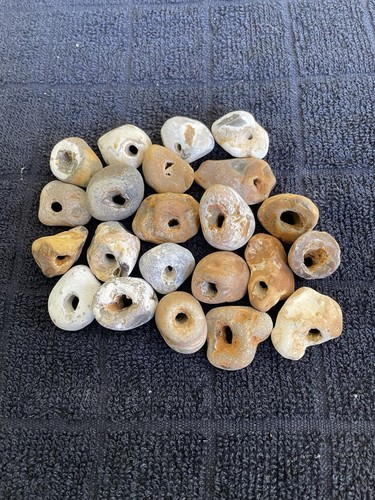 Twenty natural hag stones - hag,