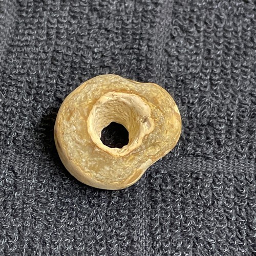 Hag stone - hag,
