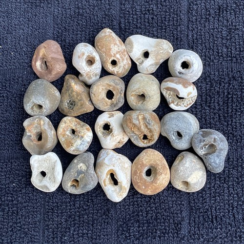 Twenty natural hag stones - natural,