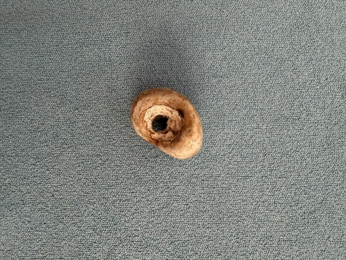 Natural hag stone - natural,