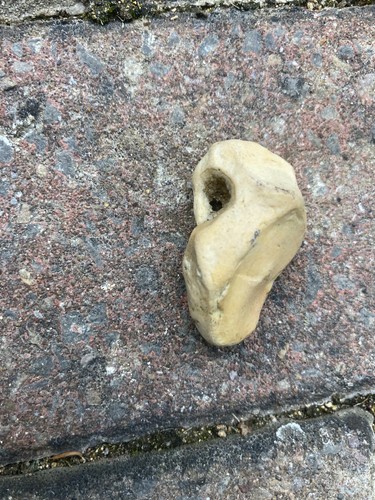 Natural hag stone odin - natural,