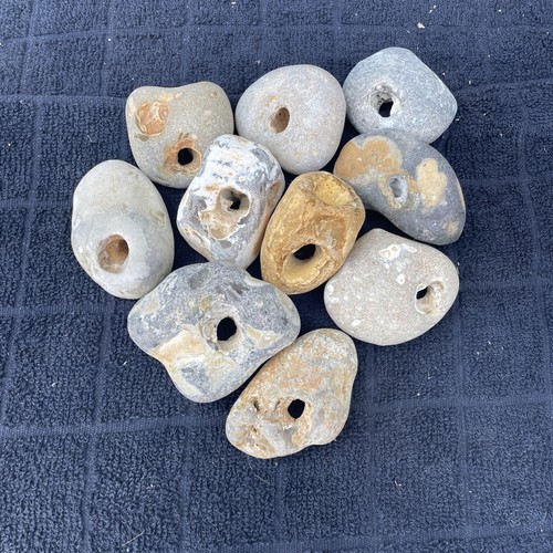 Ten medium size - natural, hag