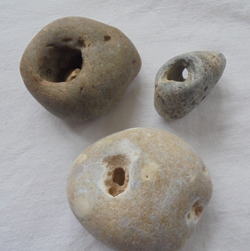 Holey hag stones - holey,