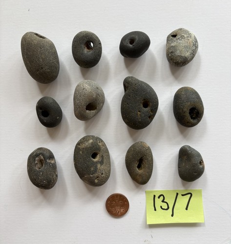 Blue grey natural hag - 12,