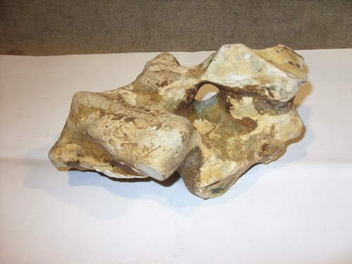 Flint hag stone - stone,
