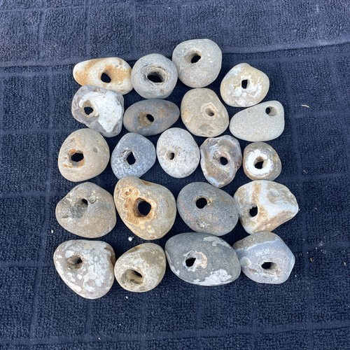 Twenty natural hag stones - natural,