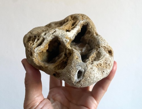 Large sea hag stone with - sea,