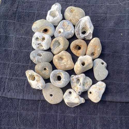 Twenty natural hag stones - twenty,