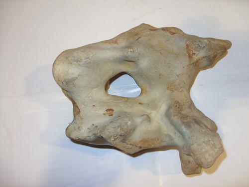 Flint hag stone - flint,