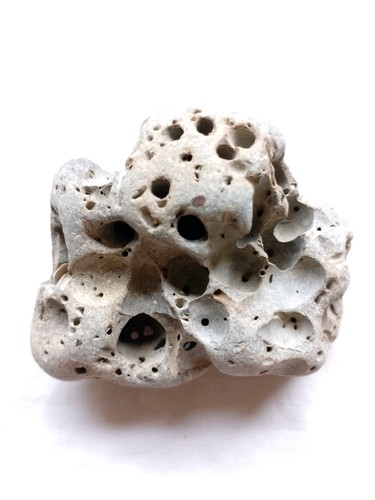 Natural devon coast hag stone - devon,