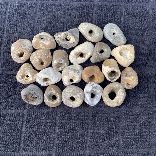 Twenty natural hag stones - hag,