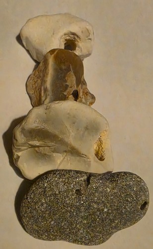 Hag stones adder - adder,