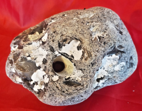 Large natural hag stone - hag,