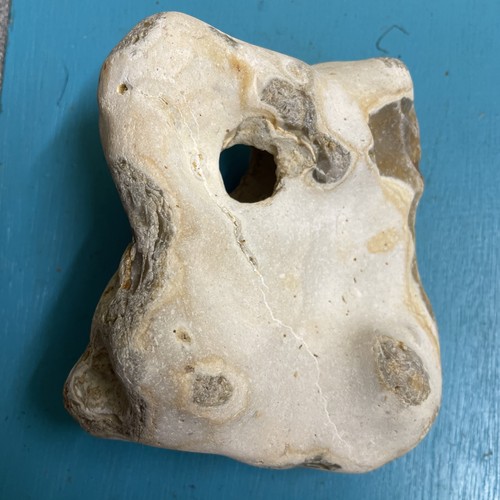 Large hag stone - hag,