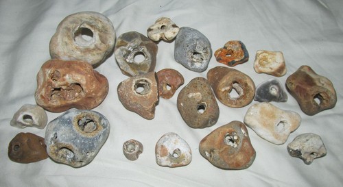 Hag stones job lot - hag, x